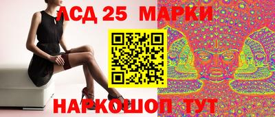 сатива Краснодар