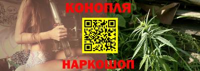 сатива Краснодар